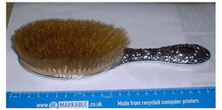 Wallington © National Trust / Donald Bovill & Susan McCormack