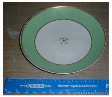 Plate
