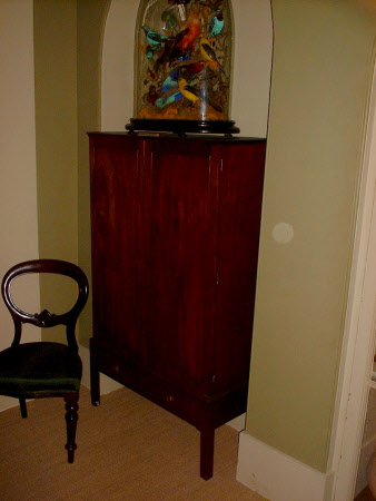 Specimen cabinet