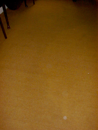 Carpet