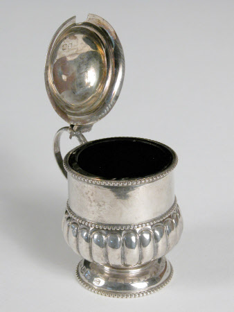 Mustard pot liner