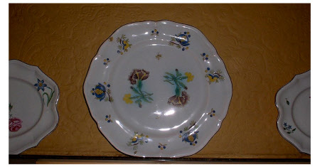 Dish