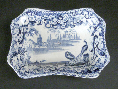 Dish