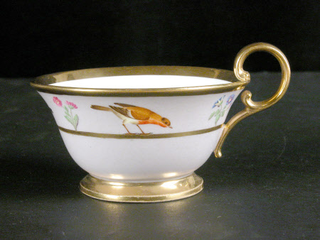 Cup