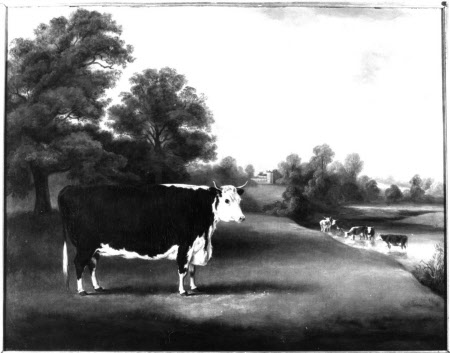 Attingham Park © Courtauld Institute of Art