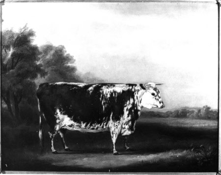 Attingham Park © Courtauld Institute of Art