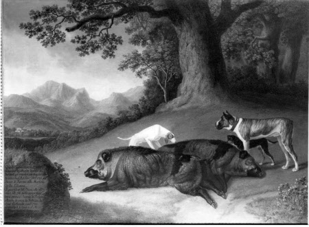 Attingham Park © Courtauld Institute of Art