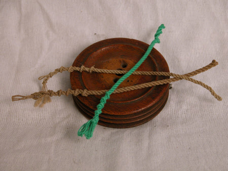 Whip reel