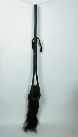 Horse tail