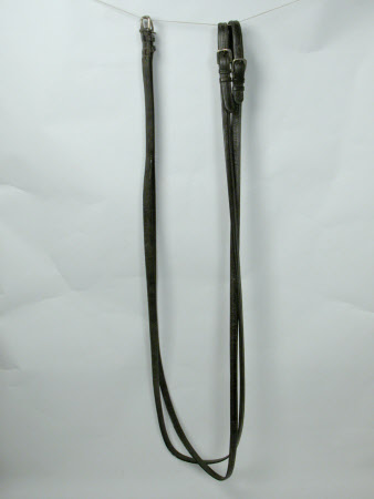 Reins