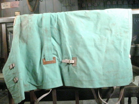 Horse blanket