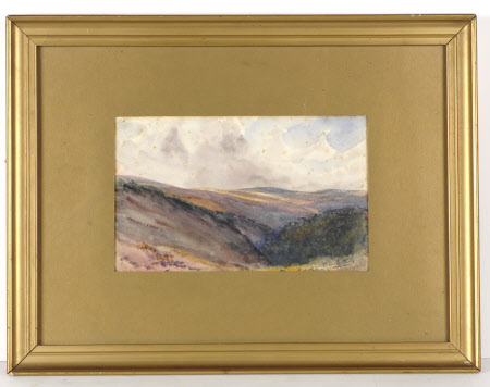 Moorland scene
