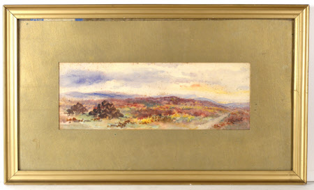 Moorland scene