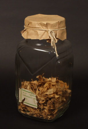 Storage jar