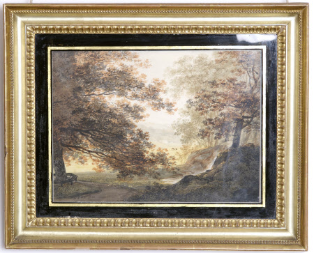 Woodland Landscape