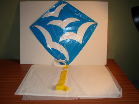 Kite