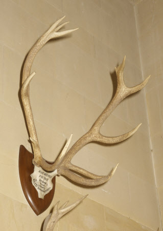 Dunster Castle © National Trust / Simon Harris