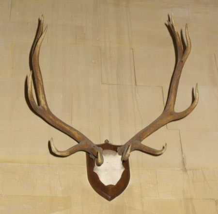 Dunster Castle © National Trust / Simon Harris