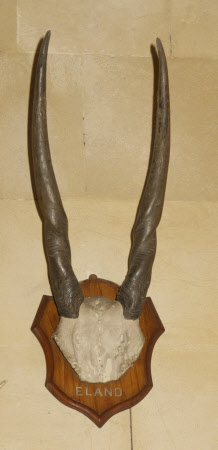 Dunster Castle © National Trust / Simon Harris