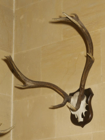 Dunster Castle © National Trust / Simon Harris