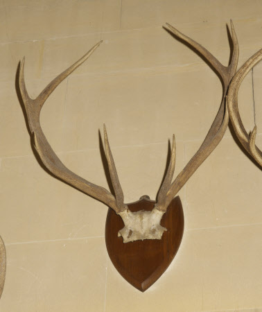 Dunster Castle © National Trust / Simon Harris