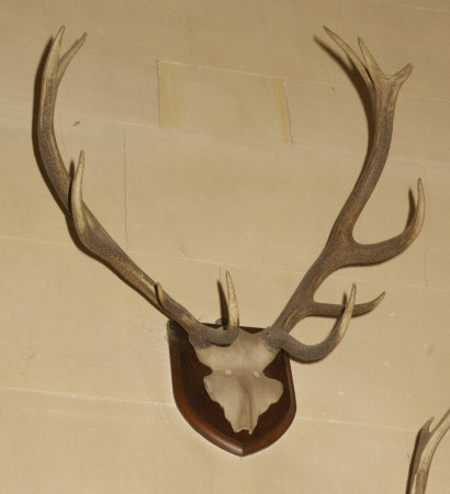 Dunster Castle © National Trust / Simon Harris