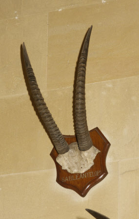 Dunster Castle © National Trust / Simon Harris