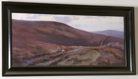 'Evening': Countisbury Common, Exmoor