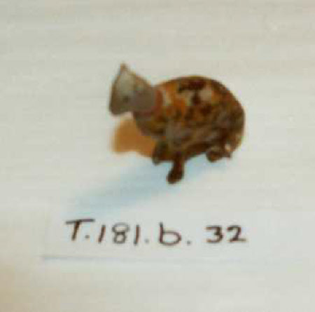 Noah's Ark animal