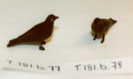 Noah's Ark bird