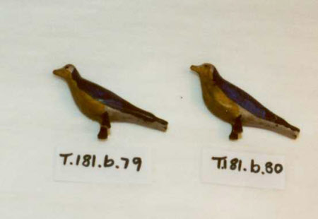 Noah's Ark bird