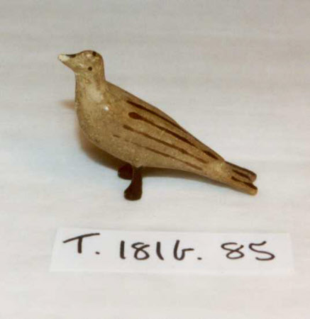 Noah's Ark bird