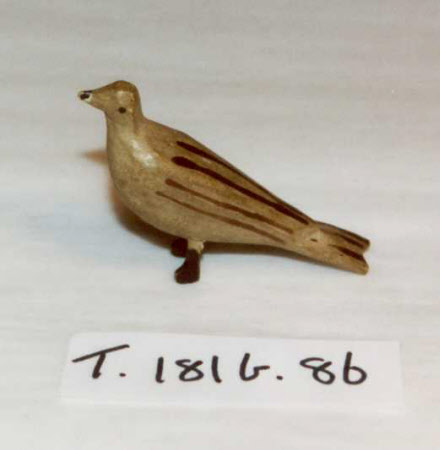 Noah's Ark bird