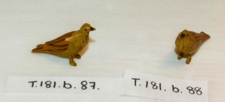Noah's Ark bird