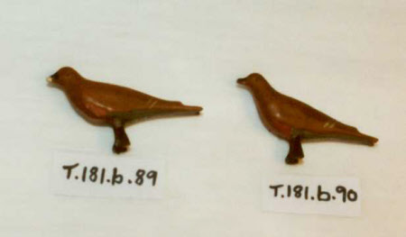 Noah's Ark bird