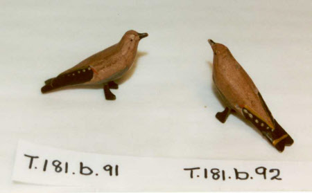Noah's Ark bird