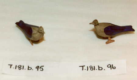 Noah's Ark bird