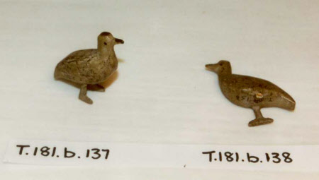 Noah's Ark bird
