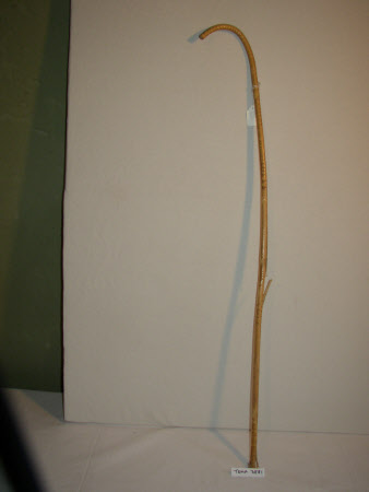 School cane