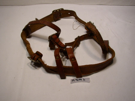 Child's leading rein
