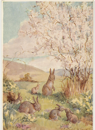 Postcard