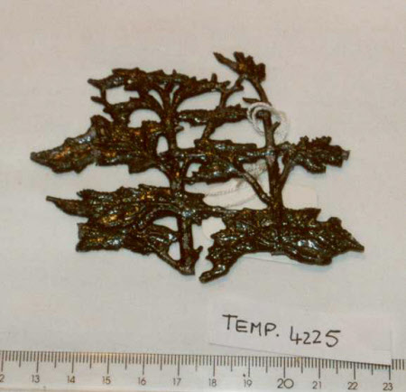 Model tree