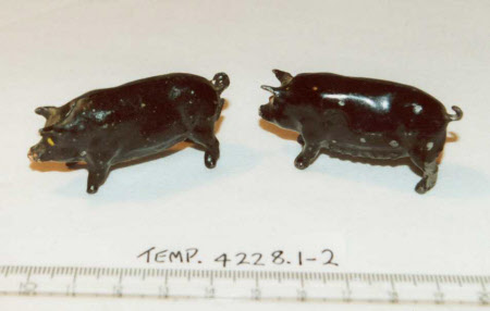 Model pig