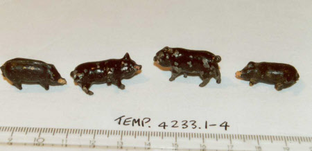 Model pig