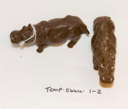 Hippopotamus