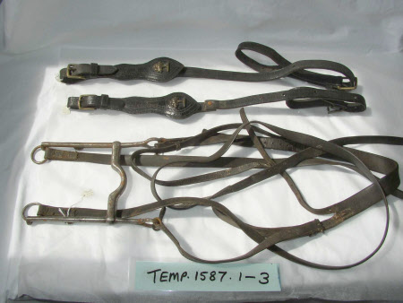 Horse harness