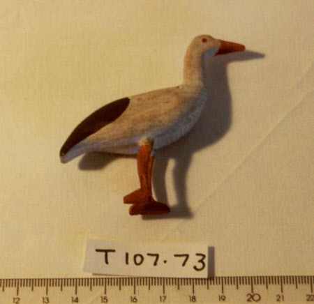 Noah's Ark bird