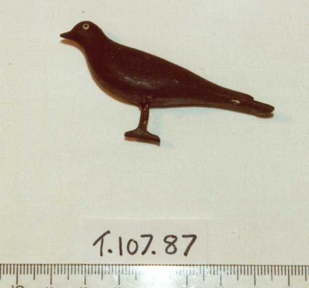 Noah's Ark bird