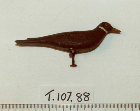 Noah's Ark bird
