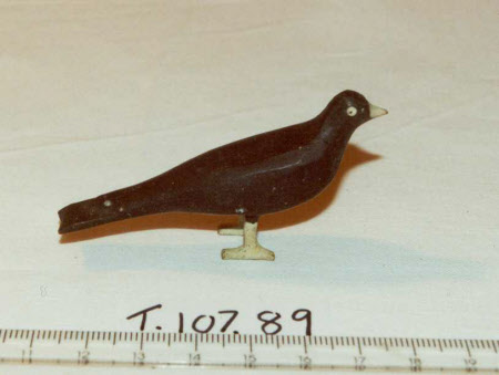 Noah's Ark bird